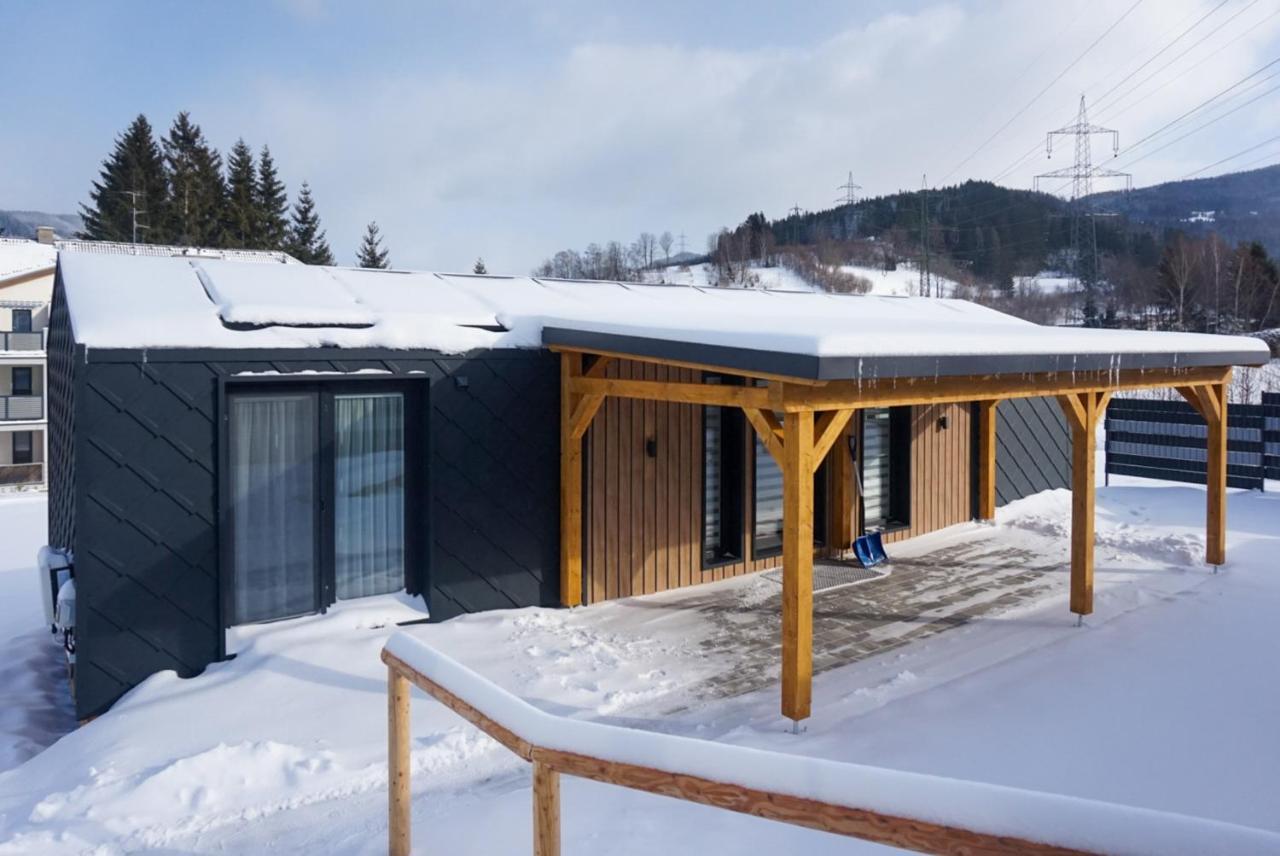 Chalet Stuhleckblick-Ferienhaus Direkt An Der Piste Und Mit Eigener Sauna Spital am Semmering Buitenkant foto